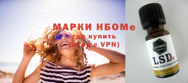 ешки Ельня
