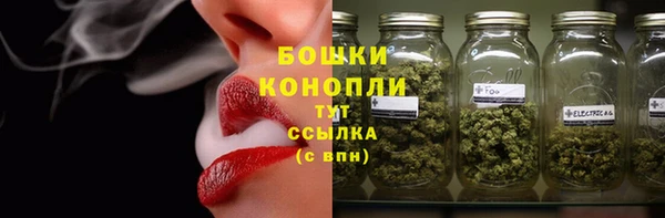 альфа пвп Заволжск