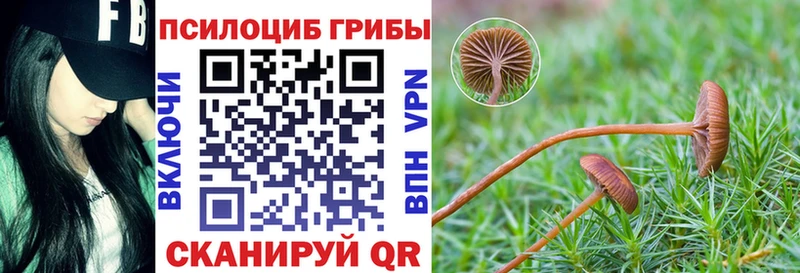 Галлюциногенные грибы Psilocybe  Закаменск 